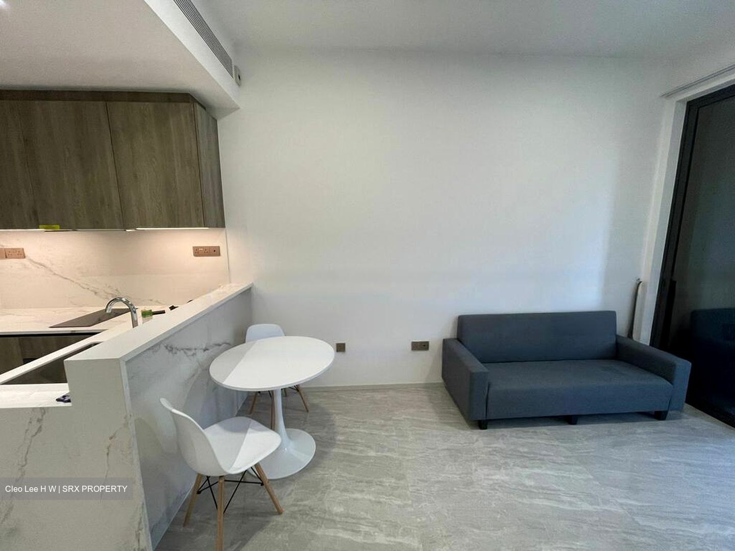 Leedon Green (D10), Condominium #461727201